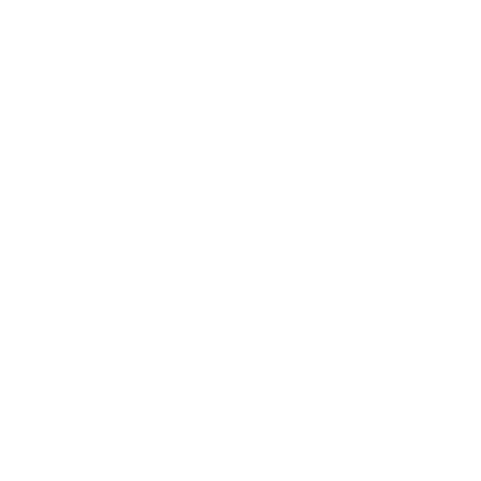 Main Partner 2